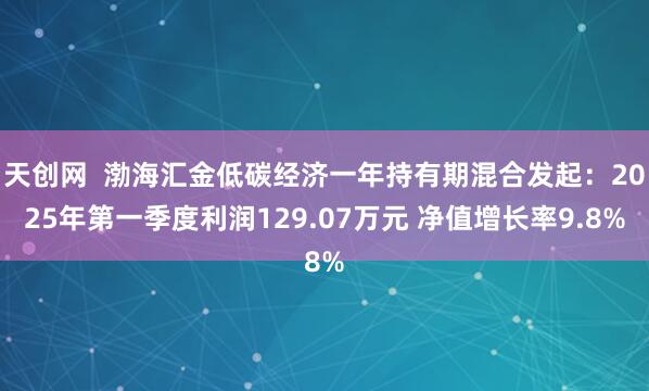 天创网  渤海汇金低碳经济一年持有期混合发起：2025年第一季度利润129.07万元 净值增长率9.8%