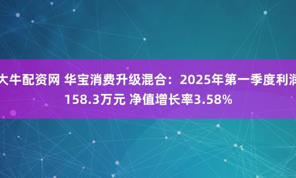 大牛配资网 华宝消费升级混合：2025年第一季度利润158.3万元 净值增长率3.58%