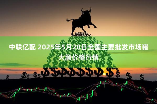 中联亿配 2025年5月20日全国主要批发市场猪大肠价格行情
