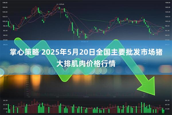 掌心策略 2025年5月20日全国主要批发市场猪大排肌肉价格行情