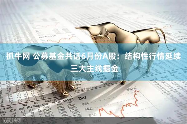 抓牛网 公募基金共话6月份A股：结构性行情延续 三大主线掘金