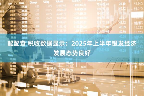 配配查 税收数据显示：2025年上半年银发经济发展态势良好